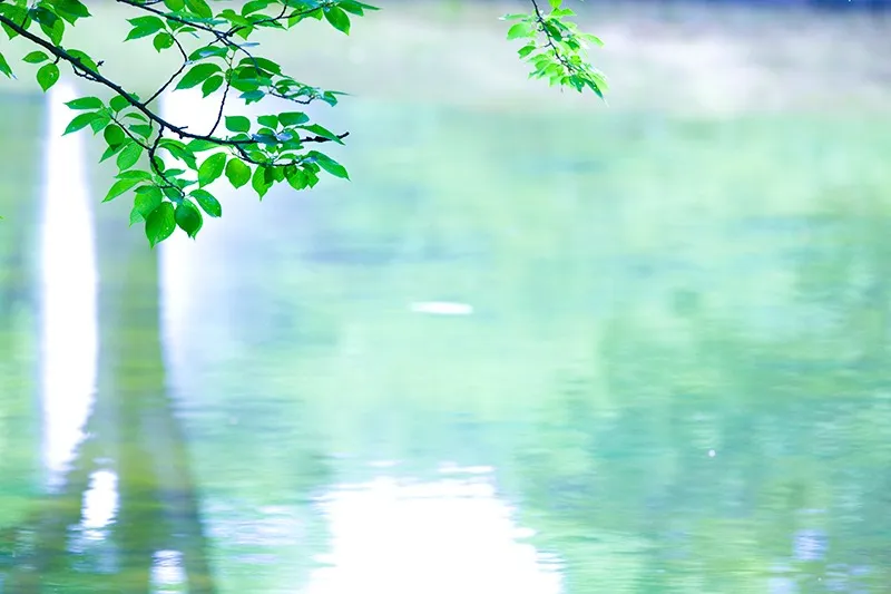 個性心理学でいただいたお声(T.I男性)